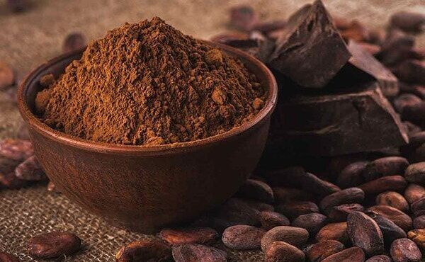 تاثیر عصاره کاکائو در کاهش ریسک زوال شناختی سالمندان تاثیر عصاره کاکائو در کاهش ریسک زوال شناختی سالمندان